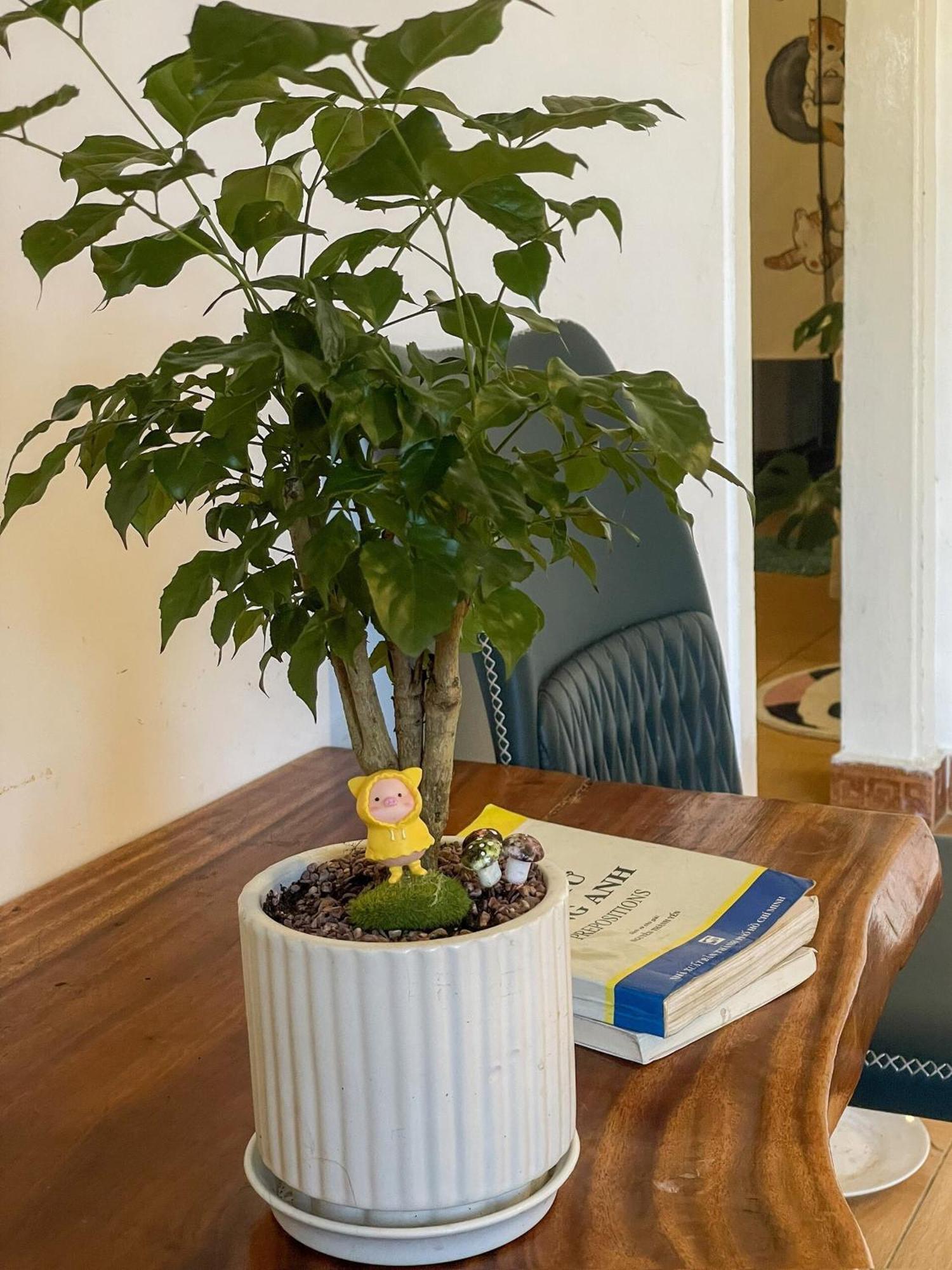 Hat De Homestay ダラット エクステリア 写真