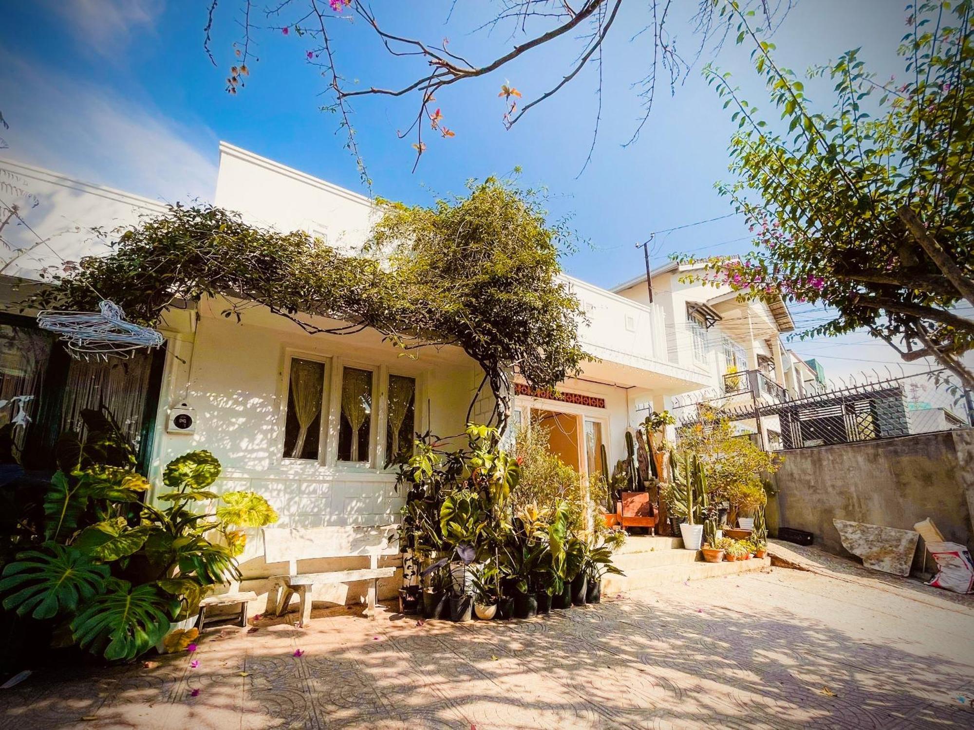 Hat De Homestay ダラット エクステリア 写真