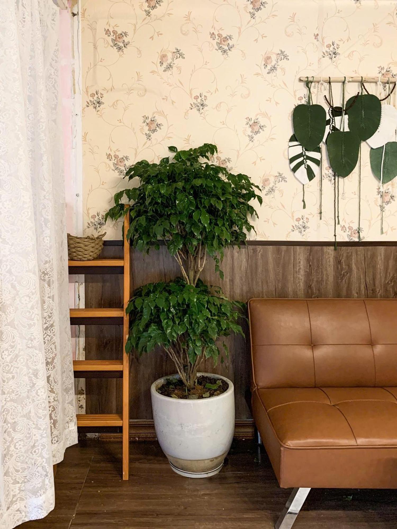 Hat De Homestay ダラット エクステリア 写真